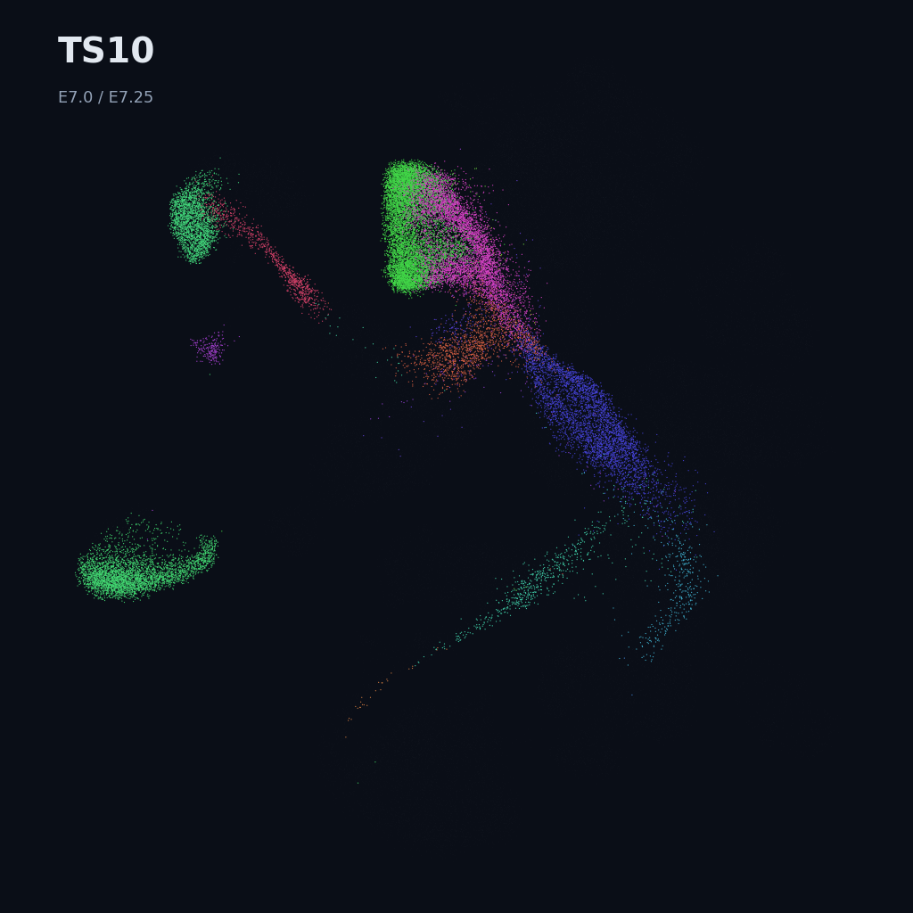 Extended Mouse Atlas · E6.5–E9.5 gastrulation + early organogenesis · TS10