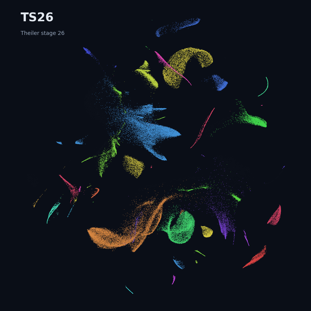 Mouse prenatal time-lapse · whole atlas · TS26