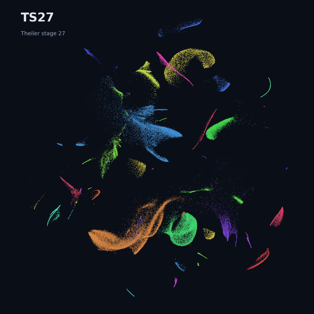 Mouse prenatal time-lapse · whole atlas · TS27