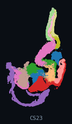 HESTA · Brain (human, per-organ)