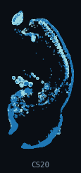 HESTA · Cartilage (human, per-organ)