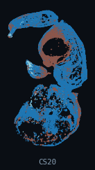 HESTA · Connective Tissue (human, per-organ)