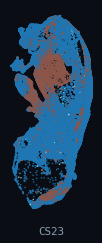 HESTA · Connective Tissue (human, per-organ)