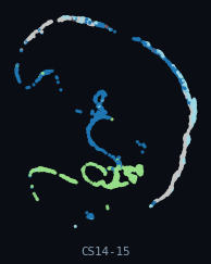 HESTA · Surface Ectoderm (human, per-organ)