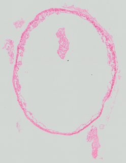 ds_10283_1052