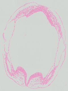 ds_10283_1063