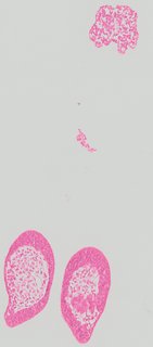 ds_10283_1088