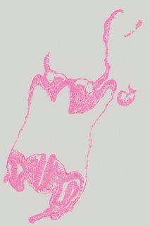 ds_10283_1099