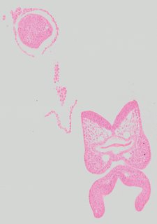 ds_10283_1106