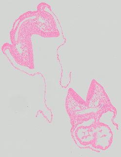ds_10283_1111