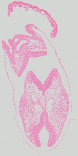 ds_10283_1127