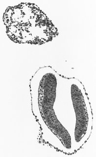 ds_10283_1147