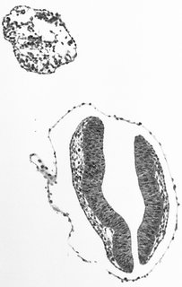 ds_10283_1148