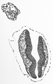 ds_10283_1149