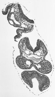 ds_10283_1154