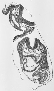 ds_10283_1156