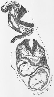 ds_10283_1157