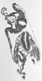 ds_10283_1165