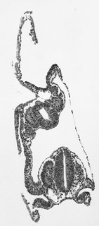 ds_10283_1167