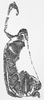 ds_10283_1168