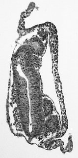 ds_10283_1170