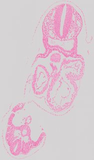 ds_10283_1219