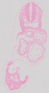 ds_10283_1220
