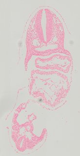 ds_10283_1222