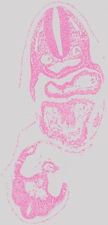 ds_10283_1223