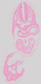 ds_10283_1224