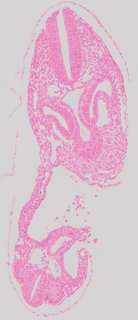 ds_10283_1227