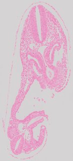 ds_10283_1228