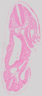 ds_10283_1230