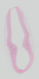 ds_10283_1237