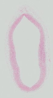 ds_10283_1273