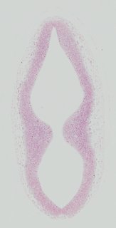 ds_10283_1274