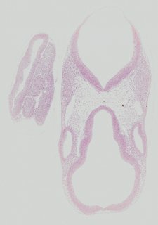 ds_10283_1280