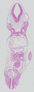ds_10283_1416