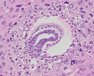 ds_10283_994