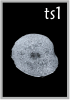 TS1