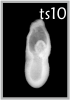 TS10