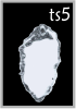 TS5