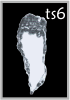 TS6